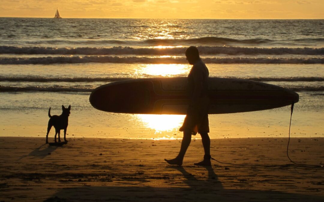 Your Pet Vacation Checklist