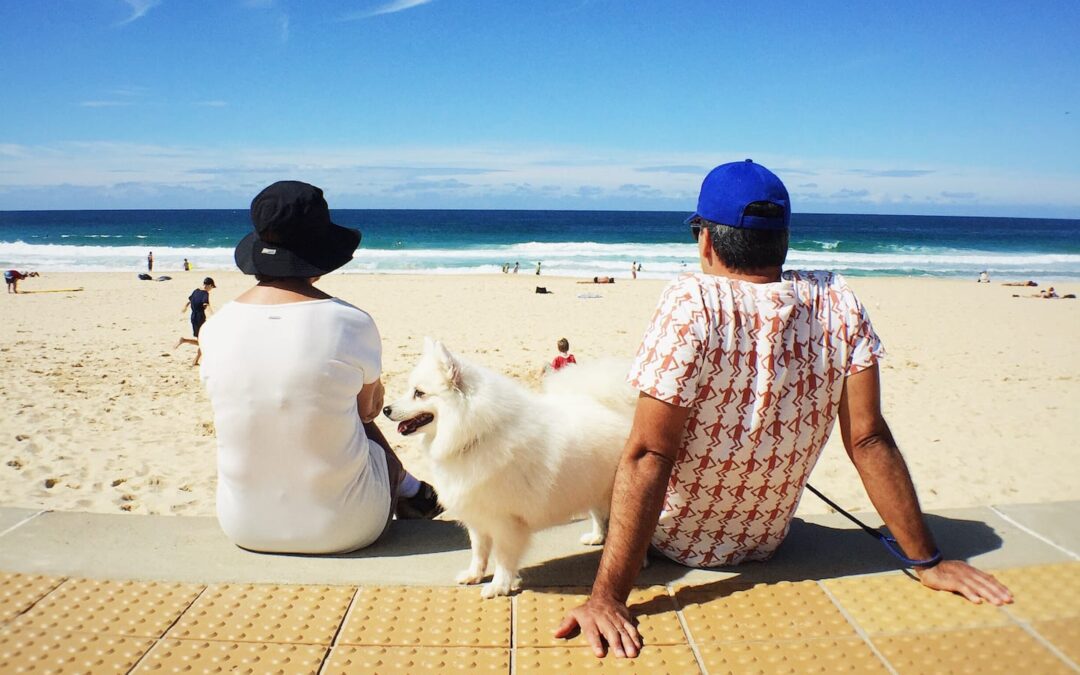 Does My Dog Need Sunscreen?