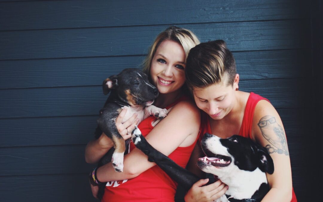 Fostering Versus Adoption: Should I Foster or Adopt a Pet?