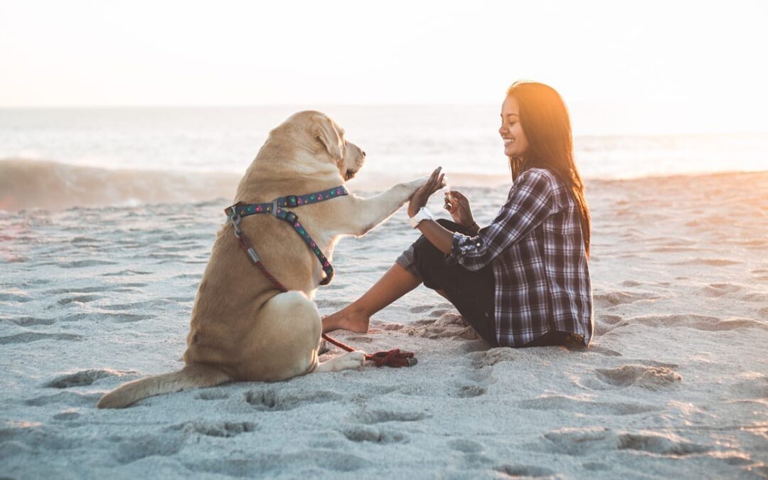 Change a Pet’s Life Day