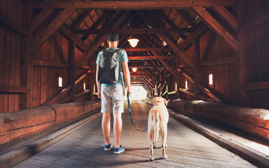 5 Dog-Friendly Tourist Attractions to Add to Your Bucket List
