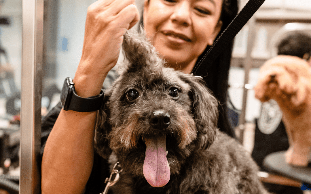 Bringing Pets and People Together, The Michelson Institute for Pet Professions is Creating New Career Paths for Individuals in Pet Care