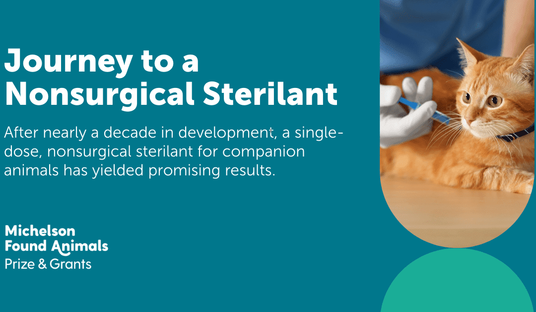 Journey to a Nonsurgical Sterilant
