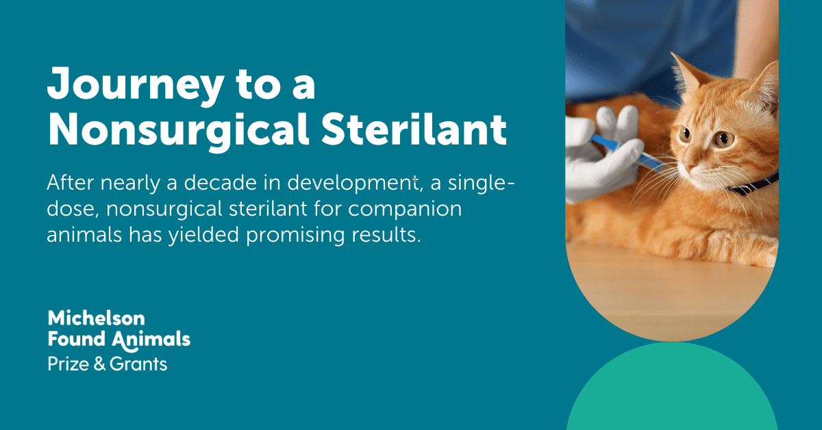 Journey to a Nonsurgical Sterilant