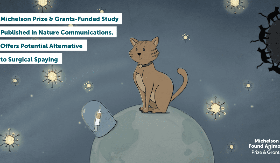 Michelson Prize & Grants-Funded Study Published in Nature Communications, Offers Potential Alternative to Surgical Spaying