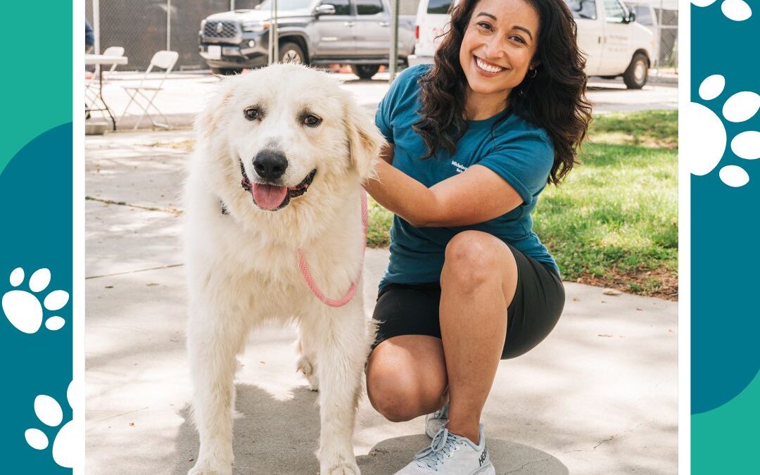 “Everyone Deserves the Joy of Pet Ownership” The Impactful Work of Victoria Piar