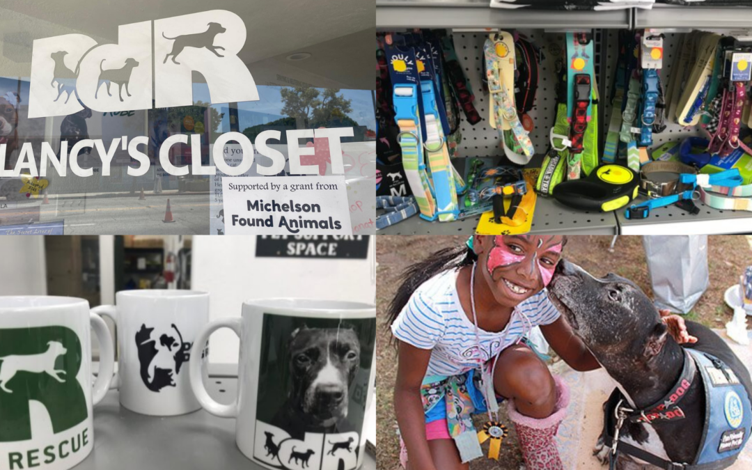 Downtown Dog Rescue Opens Clancy’s Closet: Affordable Pet Supply Shop in South Gate that Gives Back to Pets in Need