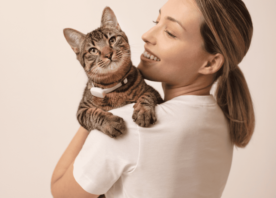 Meet Moggie. The Ultimate Health and Well-being Companion for Our Feline Friends