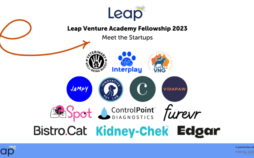 Leap Venture Studio Unveils Their Game-Changing Pet Care Fellowship