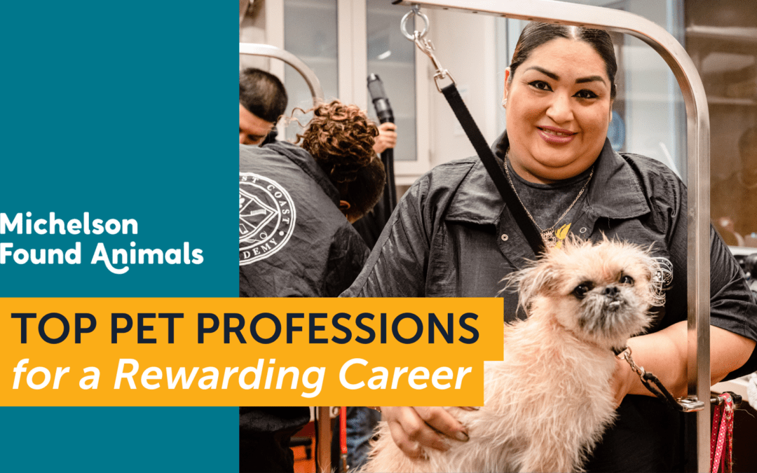 Top Pet Professions for a Rewarding Career