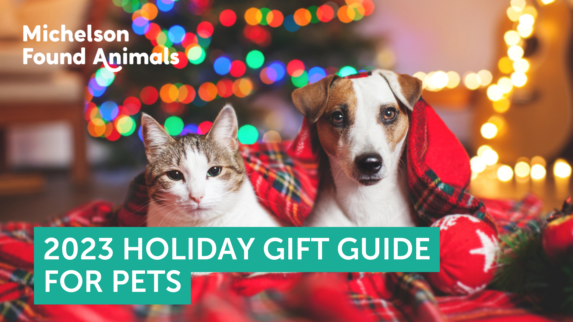 The 2023 Michelson Found Animals Holiday Gift Guide for Pets