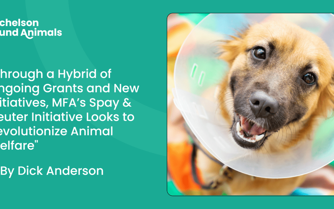 Through a Hybrid of Ongoing Grants and New Initiatives, MFA’s Spay & Neuter Initiative Looks to Revolutionize Animal Welfare – By Dick Anderson