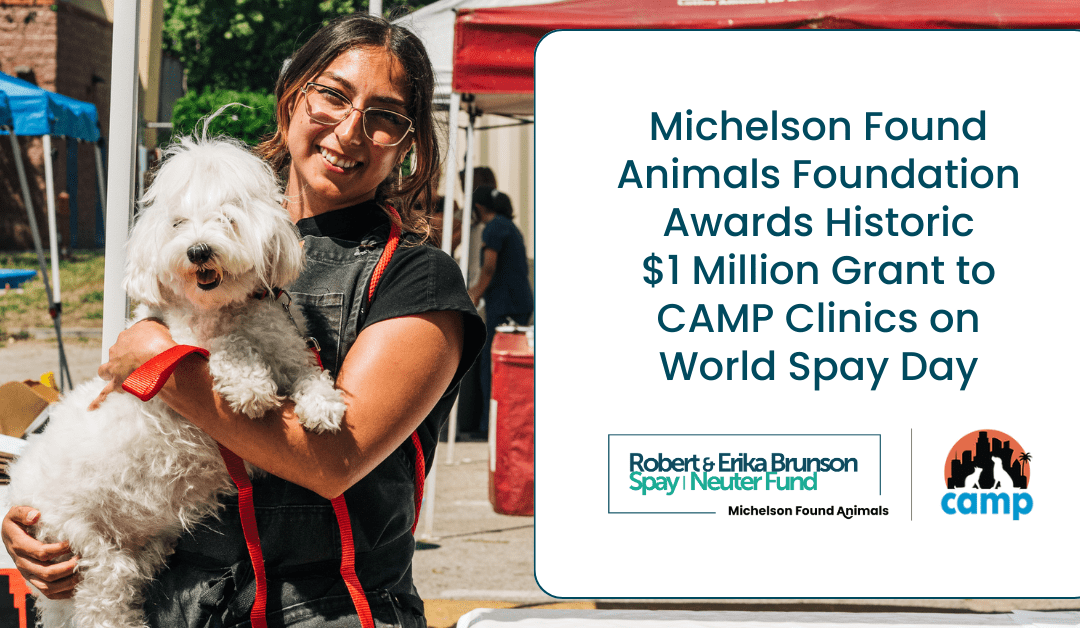 Michelson Found Animals Foundation Awards Historic $1 Million Grant to CAMP Clinics on World Spay Day