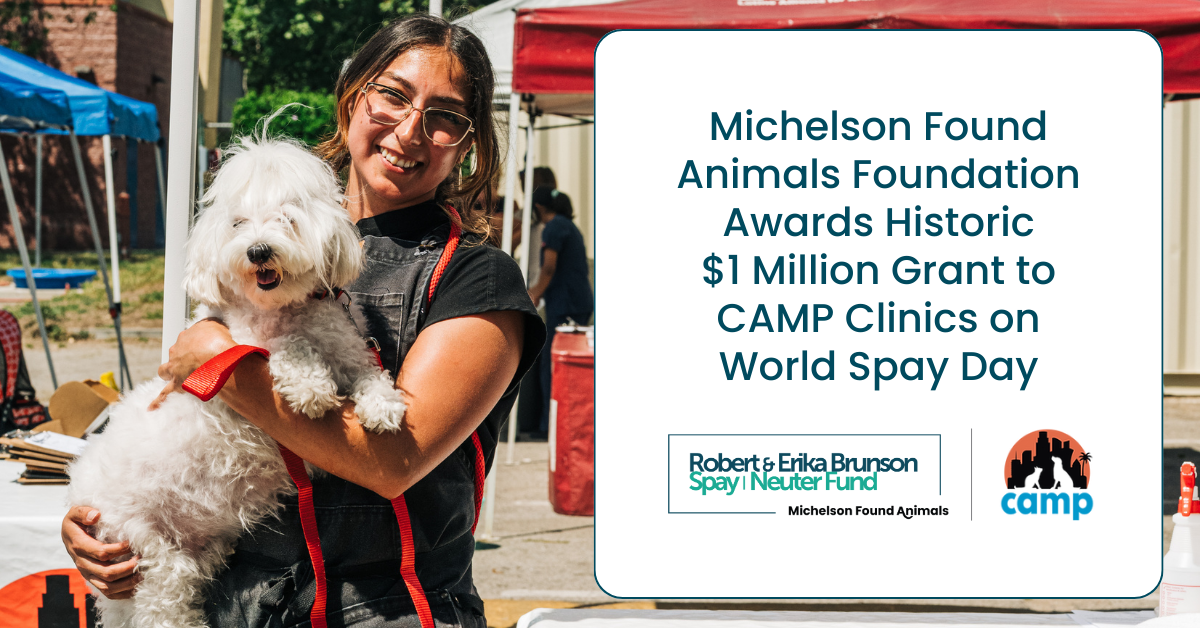 Michelson Found Animals Foundation Awards Historic $1 Million Grant to CAMP Clinics on World Spay Day