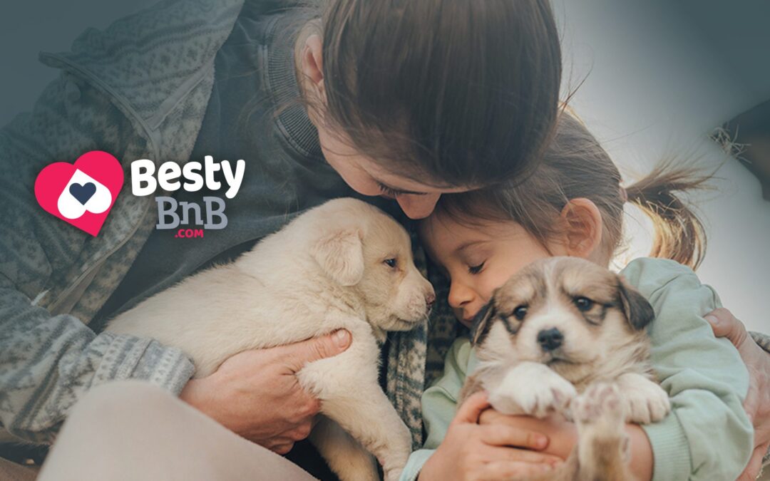 BestyBnB: Keeping Pets and People Safe, Together