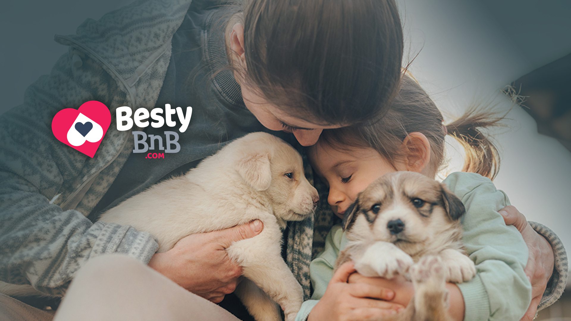 BestyBnB: Keeping Pets and People Safe, Together