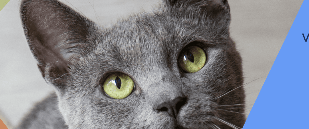 Applications Are Now Open for Leap Venture Studio 2025!