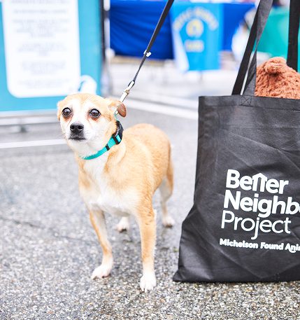 Better Neighbor Project