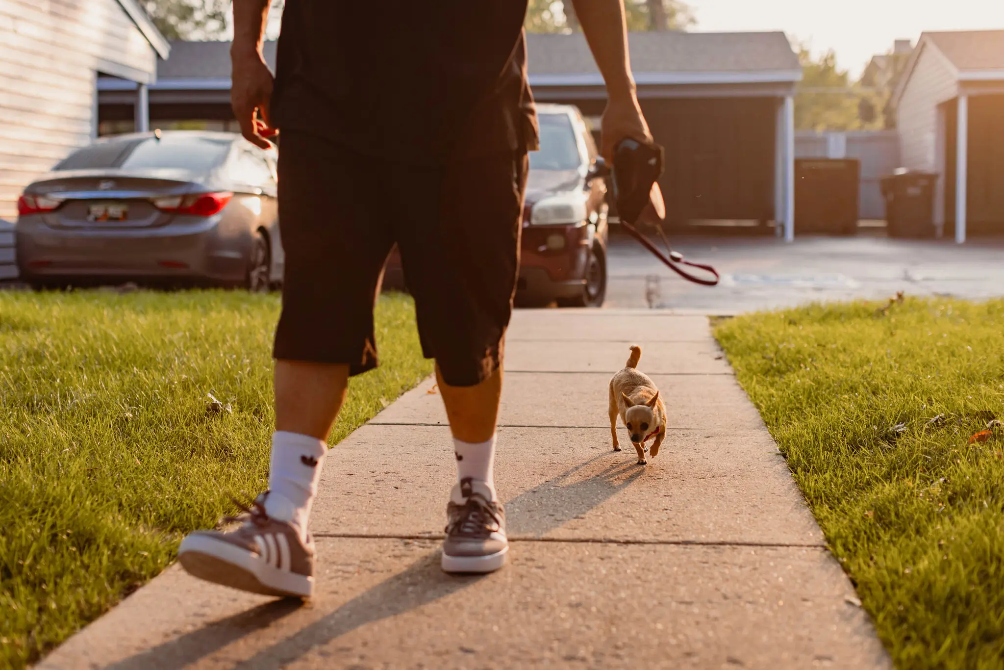 The Latest Frontier in Housing Inequity? Pet Friendliness.