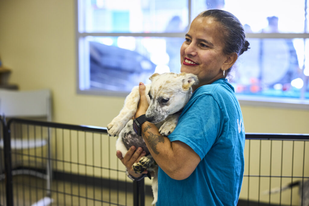 What Is Los Angeles’ Spay and Neuter Voucher Program? What Is Los Angeles’ Spay and Neuter Voucher Program?